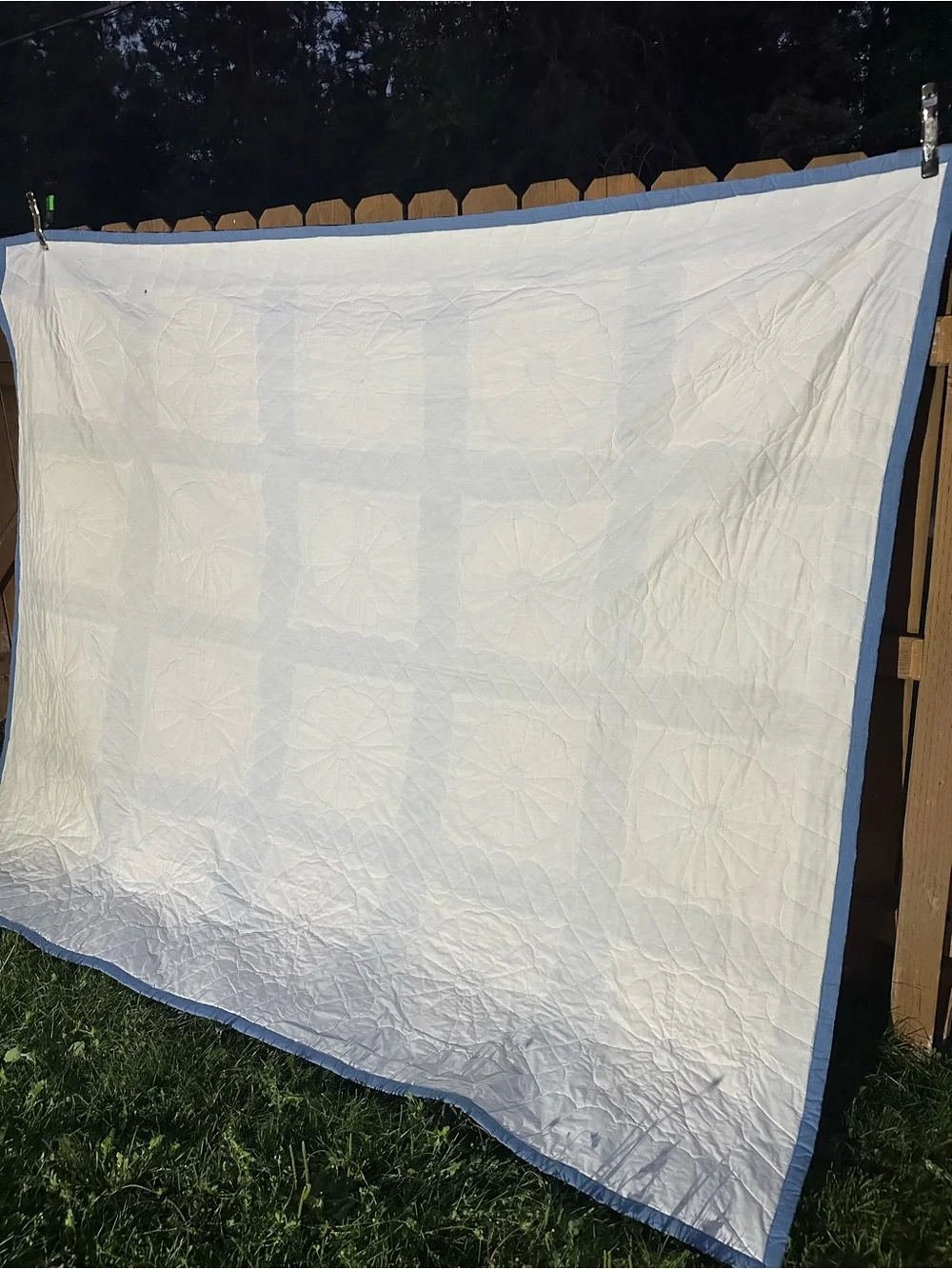 Vintage handmade Blue and White Dresden Plate Quilt